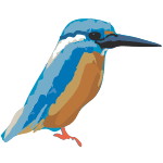 CARDAMOM TOURS (INDIA) PVT LTD